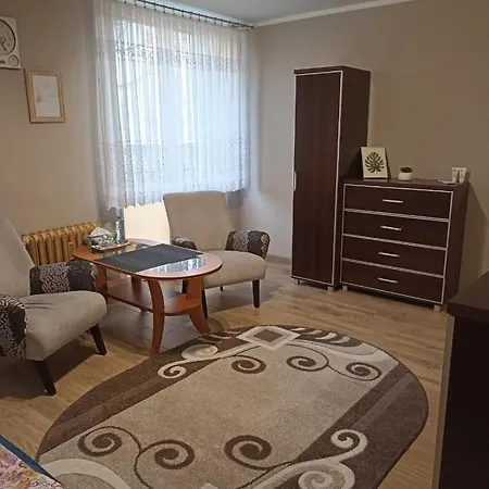 Kawalerka W Bloku, Blisko Parku Przemyslowego W Bydgoszczy 公寓